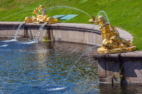 SAN PETERSBURGO, RUSSIA - 27 LUGLIO 2014: La fontana delle sirene i — Foto Stock