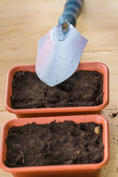 Inledningsskedet av plantera fröet placera jord i en kruka — Stockfoto