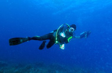 Donmuş bir kabuk tutan dalgıç ile sualtı sahne