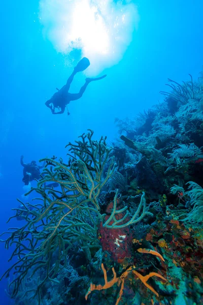 Escena submarina con la silueta de un buceador — Foto de Stock