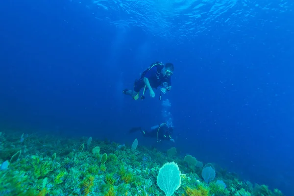 Underwater scene with two scuba divers and the beautiful surface