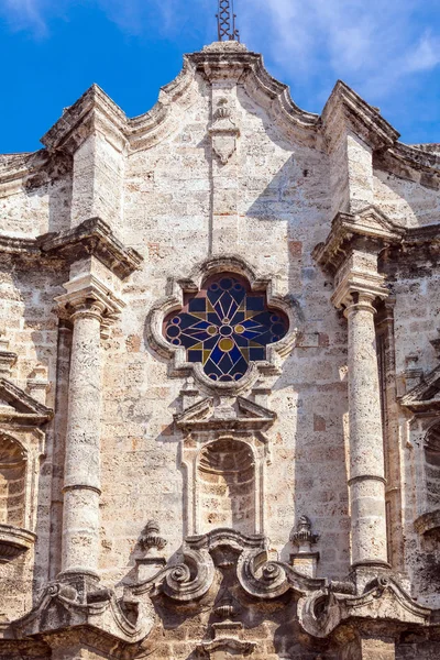 ハバナの大聖堂と犬、キューバ — ストック写真