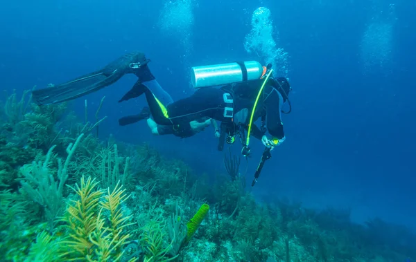 Scuba duiker met onderwatergeweer — Stockfoto