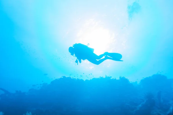 Silueta Scuba Diver lângă fundul mării — Fotografie, imagine de stoc