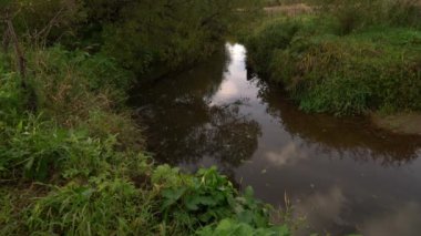 Yaz aylarında küçük orman nehir kıyısında