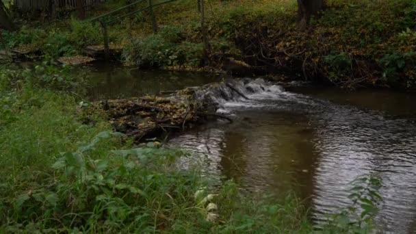 Paisaje otoñal con caudal de río y hojas — Vídeos de Stock