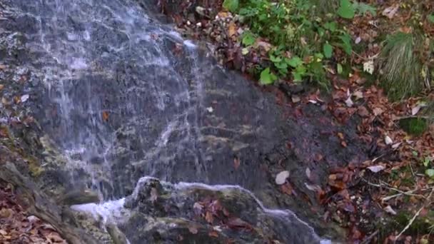 Corriente de agua corriente cascada en las montañas alpinas en el otoño — Vídeos de Stock