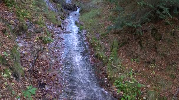 秋天阿尔卑斯山中流水流淌的瀑布 — 图库视频影像