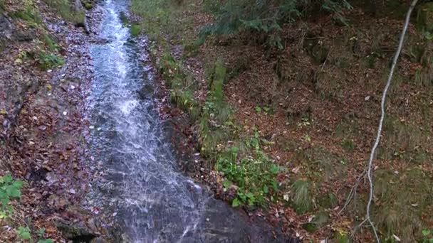 Corriente de agua corriente cascada en las montañas alpinas en el otoño — Vídeos de Stock