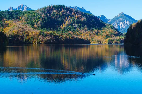 Hohenschwangau lake near  Neuschwanstein Castle, Bavaria, German — Stock Photo, Image