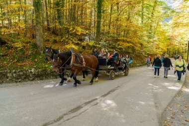 Bavyera, Almanya - 15 Ekim 2017: at C'de sürme turist