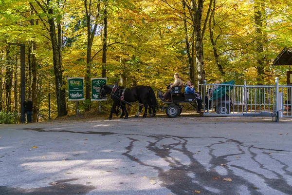 巴伐利亚, 德国-2017年10月15日: 游客骑马在马 c — 图库照片