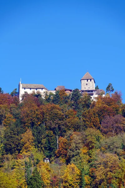 Hohenklingen 城堡附近的斯坦, 士瑞兹, 沙夫豪森。 — 图库照片