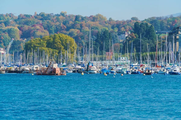 Muchos yates pequeños y barcos en el lago de Ginebra, Suiza —  Fotos de Stock