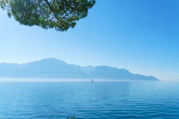 Un piccolo yacht a vela sul lago di Ginevra e sulle Alpi, Svizzera — Foto Stock
