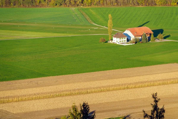Vista aérea de uma fazenda e campo tradicional, Gruyeres, Switzerla — Fotografia de Stock