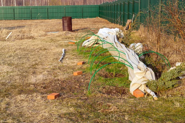 Roses covered with cover material in the spring garden and green iron fence, natural landscaping and gardening