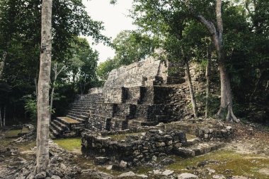 Calakmul Maya harabelerini