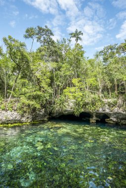 yuctan Meksika'da doğal Havuzu