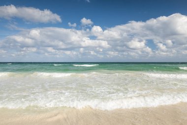 Karayip denizinde tropik plaj