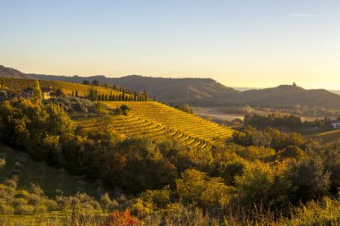Collio bölgesi sonbahar bağ