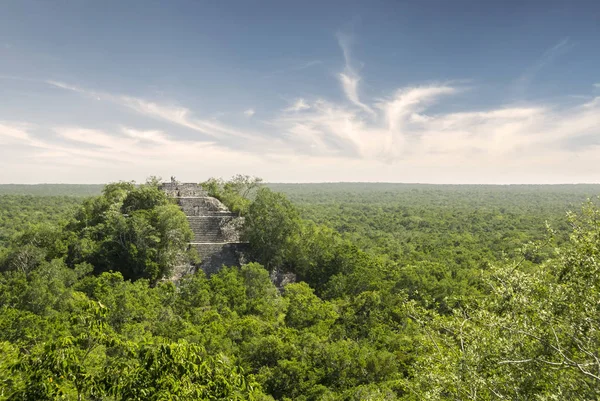 Calakmul Biosphärenreservat in Yucatan Mexiko — Stockfoto