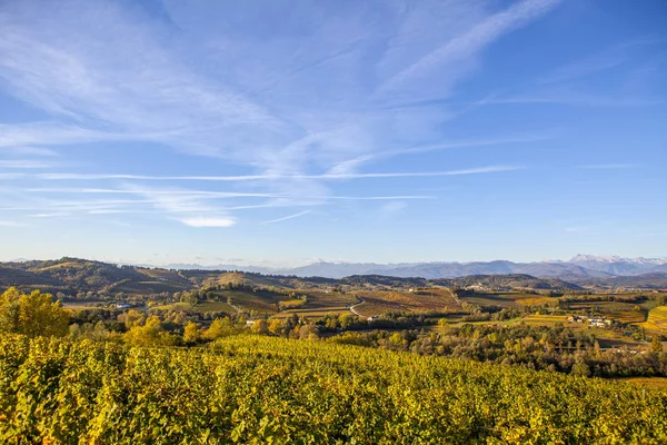 在秋天在 Collio 地区的葡萄园 — 图库照片