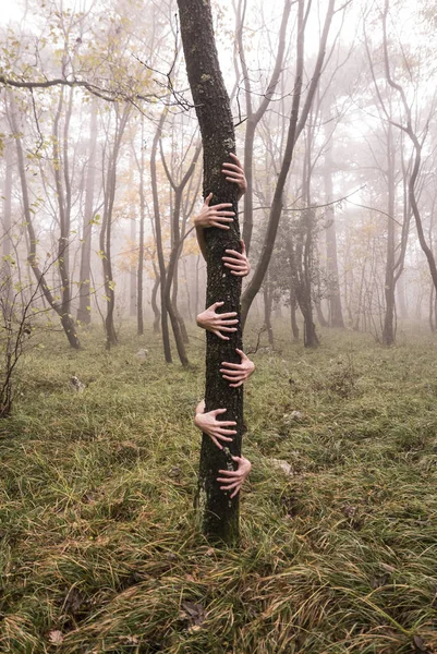 Viele Hände umarmen Baum — Stockfoto