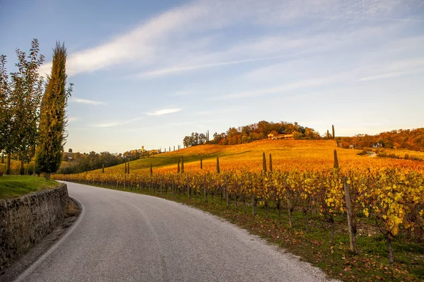 Αμπελώνας φθινόπωρο σε Collio — Φωτογραφία Αρχείου