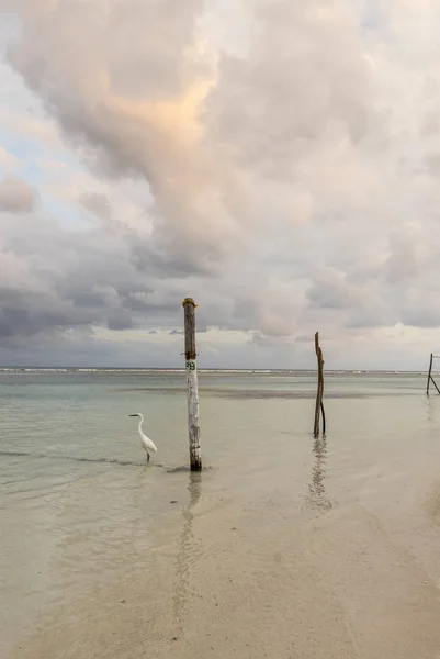 Bellissimo tramonto romantico sulla spiaggia — Foto Stock