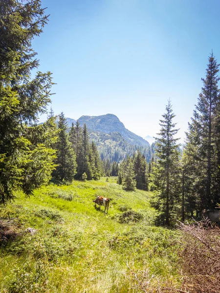 Hermoso paisaje de montaña — Foto de Stock