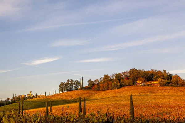 Vigneto in autunno nella regione del Collio — Foto Stock