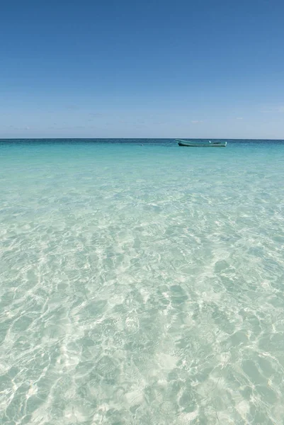 순록의 바다에 있는 열 대의 해변 — 스톡 사진