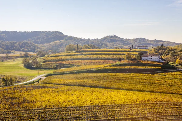 Vinhedo no outono na região de Collio — Fotografia de Stock