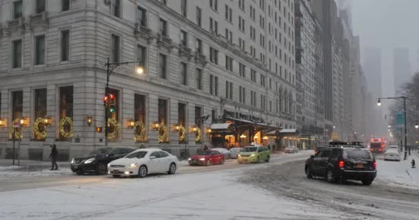 겨울 설정 샷 플라자 호텔과 센트럴 파크 남쪽에 소통량 — 비디오