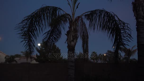 Noche Estableciendo Shot of Typical Arizona Residence Back Yard — Vídeo de stock