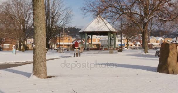 Schwenk-Aufnahme von Park im Winter in kleiner Wimpelstadt — Stockvideo