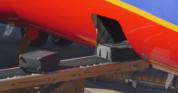 Il bagaglio è caricato su un nastro trasportatore su un jet — Video Stock