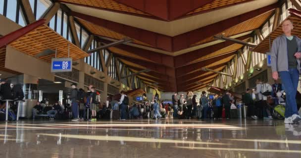Passagerare gå i Phoenix Sky Harbor Airport Terminal D — Stockvideo