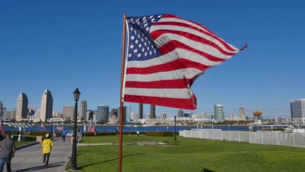 Bandiere americane al rallentatore nel parco centenario sull'isola di Coronado — Video Stock
