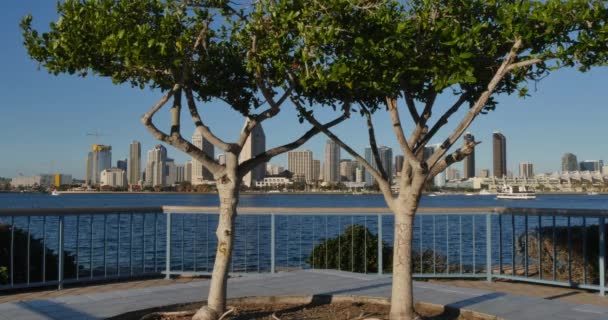 Pintoresca vista de San Diego Skyline desde el Parque Centenario en la Isla Coronado — Vídeos de Stock