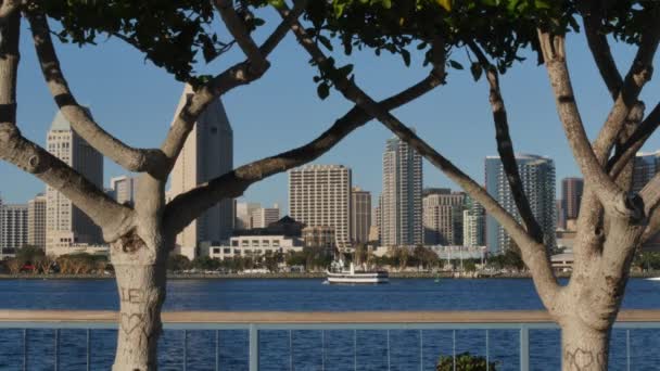 Pintoresca vista de San Diego Skyline desde el Parque Centenario en la Isla Coronado — Vídeos de Stock