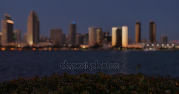 Defocused άποψη του San Diego ορίζοντα σούρουπο από εκατονταετές πάρκο στο νησί του Coronado — Αρχείο Βίντεο
