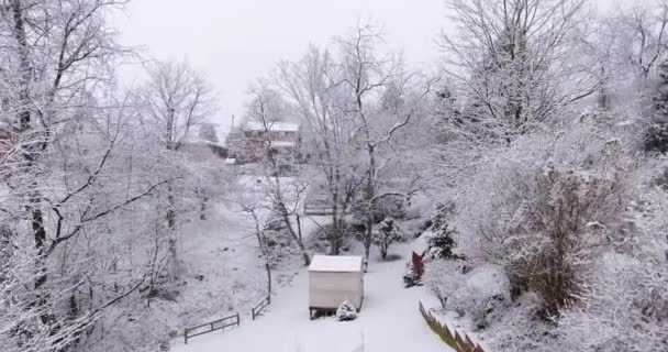 Dolly Shot de un paraíso invernal — Vídeo de stock