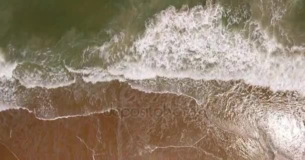 Vue unique du haut vers le bas de Ocean Surf 
