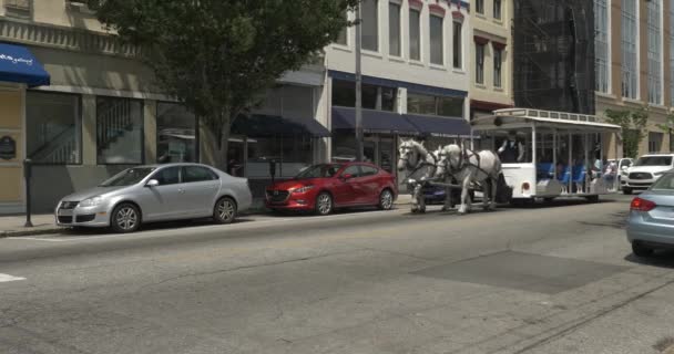 Chariot tiré par des chevaux dans le centre-ville Wilmington Caroline du Nord — Video