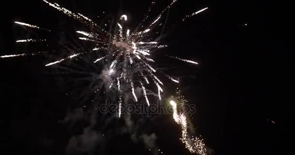 Slow Motion 4K Grand Fireworks Show PT 2 of 2 — стоковое видео