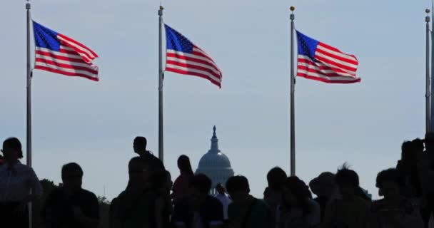 Silhouette Touristes au Washington Monument — Video