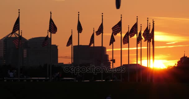 Zonsondergang Over de Amerikaanse vlaggen bij Washington Monument — Stockvideo