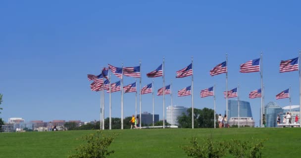 Turystów chodzić pod amerykańskiej flagi z Arlington Skyline — Wideo stockowe